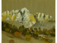 Julien Victor Scheuchzer — Julien Victor Scheuchzer